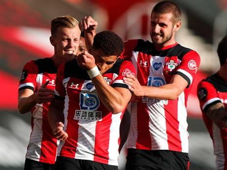 שחקני סאות'המפטון חוגגים עם אדאמס שער נפלא (GETTYIMAGES)