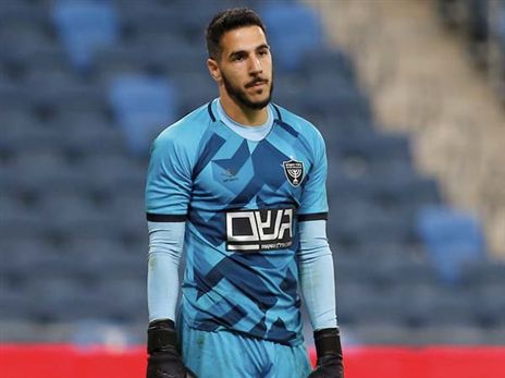 ניצן. מעורר השתאות (אלן שיבר)