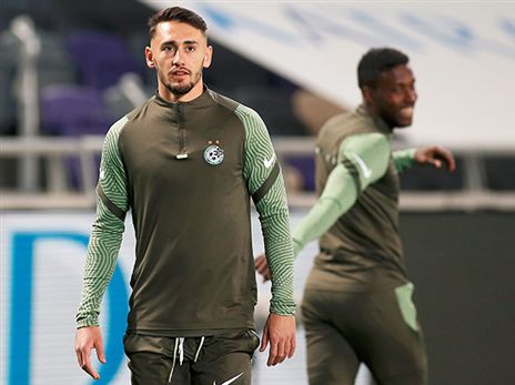 אצילי. פרשת הרימון עדיין לא הסתיימה (אלן שיבר)