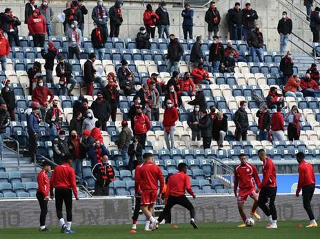 (ברני ארדוב)