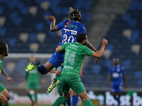 (צילום: מאור אלקסלסי)