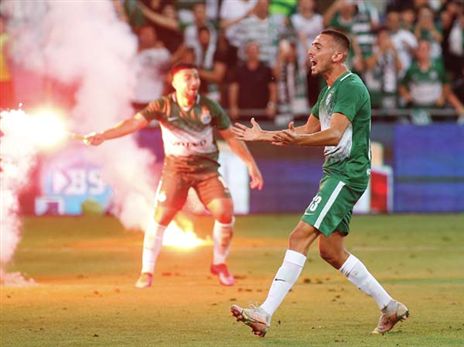 חתיכת סופרנובה (אלן שיבר)