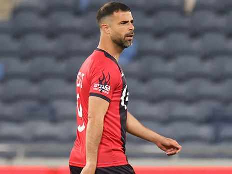 בן בסט. כץ רוצה שיטפס לפסגה (דני מרון)