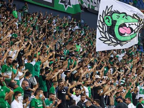 מכבי חיפה מצאה פתרון? (דני מרון)