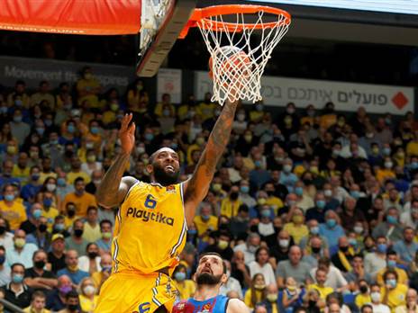 (צילום: אלן שיבר)