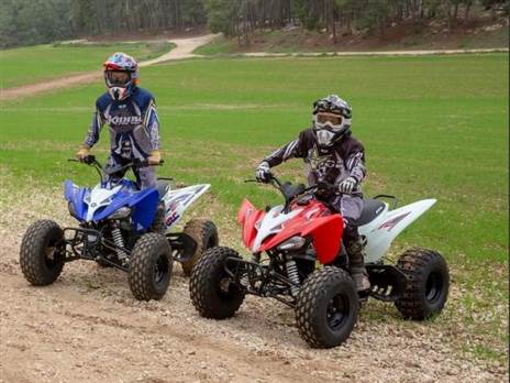 טרקטורון חשמלי (אילוסטרציה: פולגז)