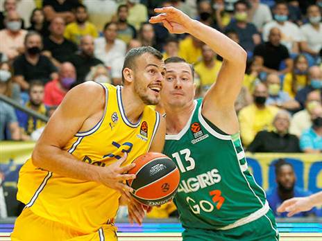 "מאסט ווין" (אלן שיבר)