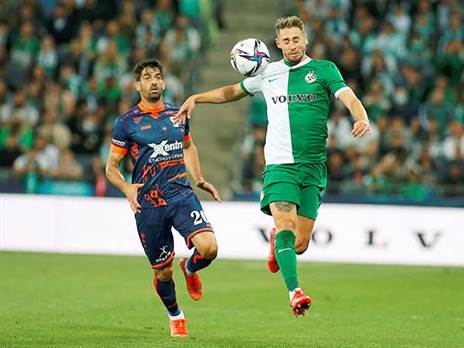 אצילי. לא כבש, אך היה אחד המצטיינים (אלן שיבר)