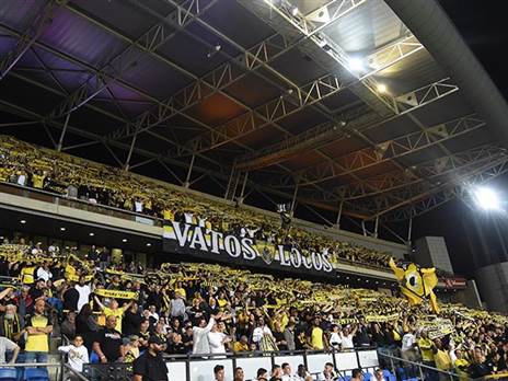 (ברני ארדוב)