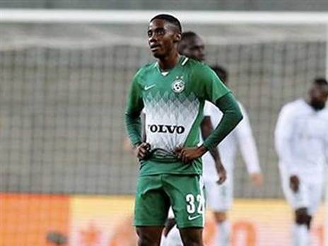 יעבור בהשאלה. מוזי (אלן שיבר)