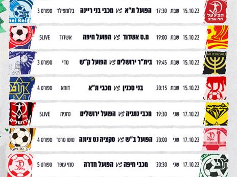 המחזור השמיני