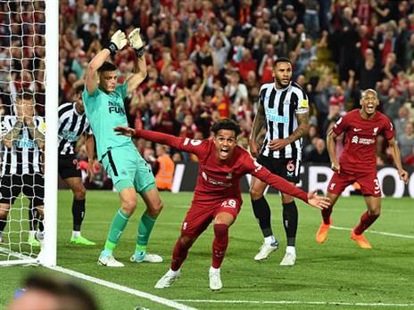 "היו צריכים ללמוד מהם" (GETTY)