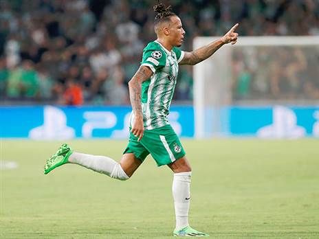 אמור להיות כשיר (אלן שיבר)