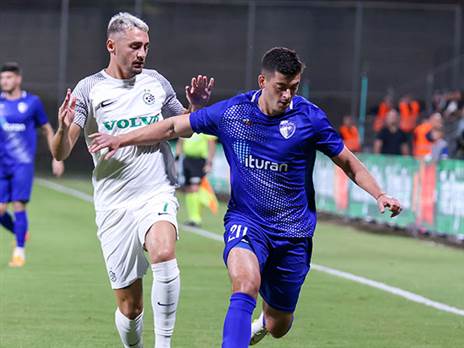 השתווה בפסגה. אצילי (דני מרון)