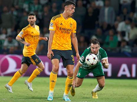 בהחלט ראוי (אלן שיבר)