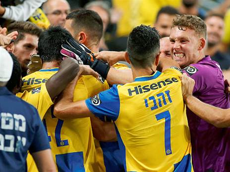 בסופו של דבר הצהובים כבשו (אלן שיבר)