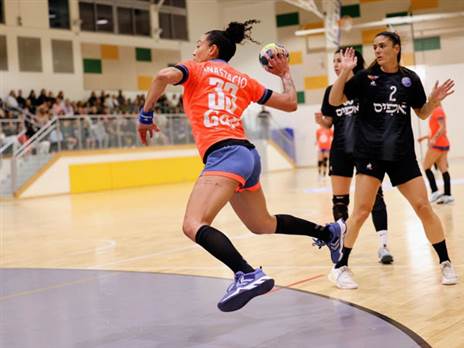 (הדר ואן קולא, איגוד הכדוריד)