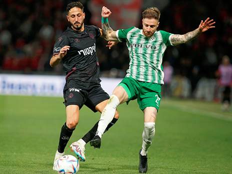 יש משחקים כאלה (אלן שיבר)