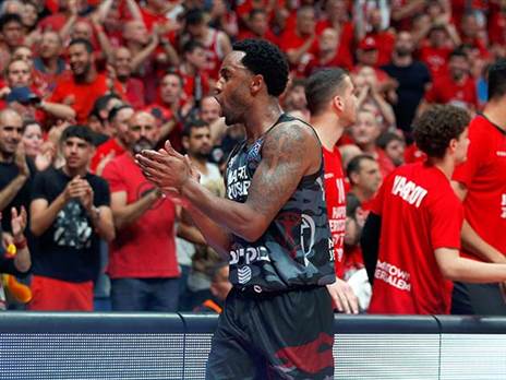 משוגע (אלן שיבר)