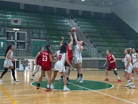 (קרדיט: נטע אבוגוב)