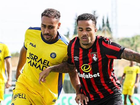 (חשבון הטוויטר של בורנמות')