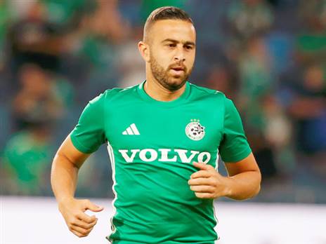 בכרמל לא מודאגים (אלן שיבר)