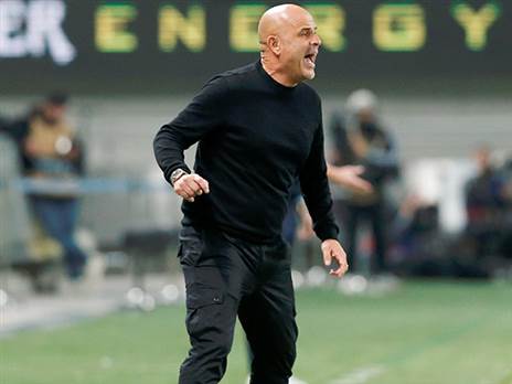 אבקוסיס בדרך לרכש (אן שיבר)