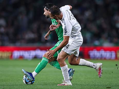 (מאור אלקסלסי)