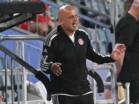 אבוקסיס. נאחז באופטימיות (ברני ארדוב)