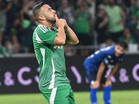 סבע. קהל יתרצה? (ברני ארדוב)