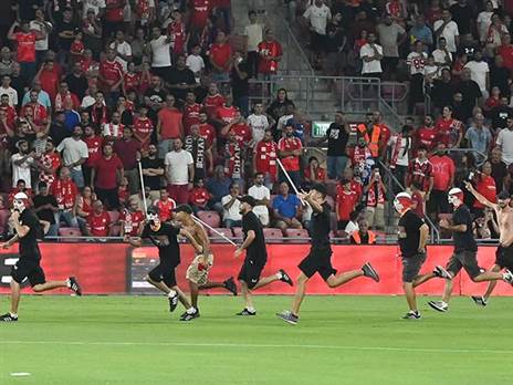 (ברני ארדוב)