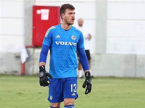 סולטאני. מתקשה עם השפה (אודי ציטיאט)