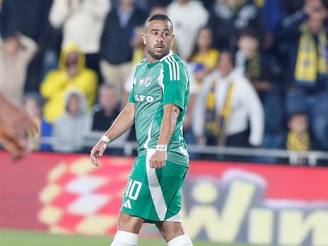 סבע. יחזור לתפקיד שבו הרשים (אלן שיבר)