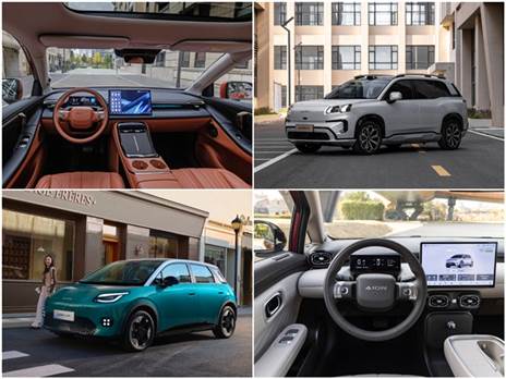 צילום: יצרן ועמית מרצ`לי