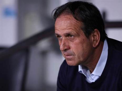 מאור אלקסלסי