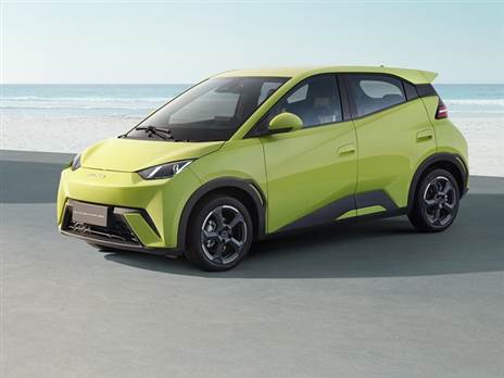 BYD ממשיכה להוביל את השוק למרות ירידה במסירות