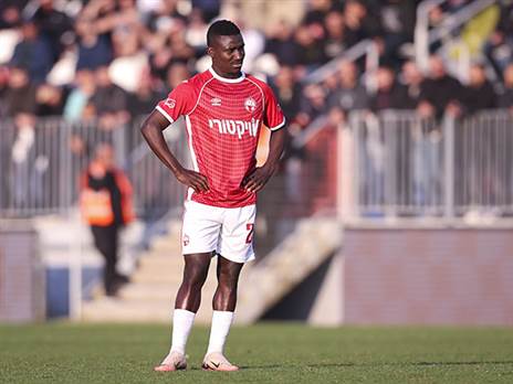 (מאור אלקסלסי)