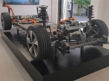 צילום: בועז קורפל