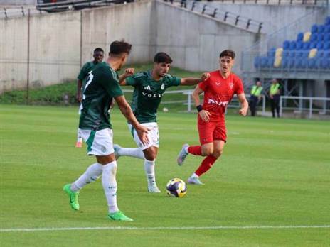 (אתר מכבי חיפה)