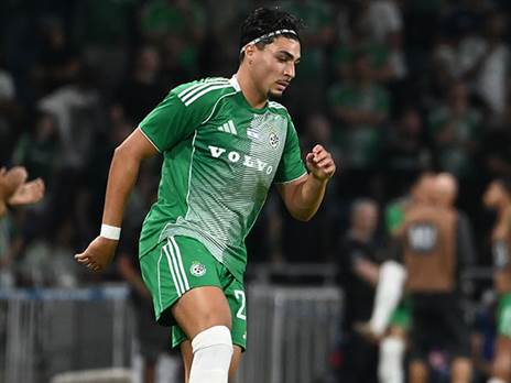 (ברני ארדוב)