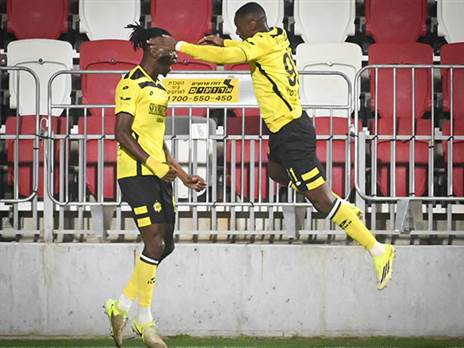 (ברני ארדוב)