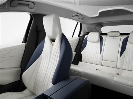 ב-DS יציעו מספר צבעים לריפודים עם סגנונות תפירה שונים