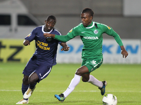 כולם רוצים פלייאוף עליו. עכו מחכה למכבי חיפה (יוסי שקל)