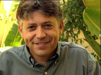 דני קורן. ג'וב חדש