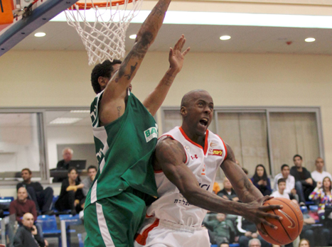 באומן. רומן קצר מאוד בצפון (אלן שיבר)