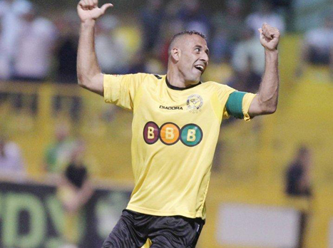 סבע. בדרך לסכנין? (אלן שיבר)