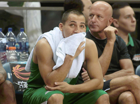 סטול. בדרך לארץ המגף (אלן שיבר)