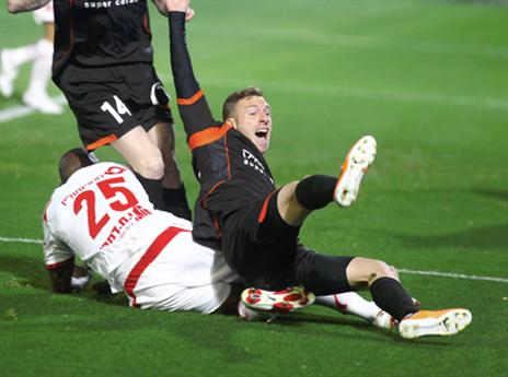 נפילה כואבת. ורד (אלן שיבר)