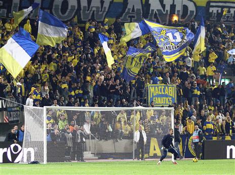 גם הקהל הצהוב נתן שואו (אלן שיבר)