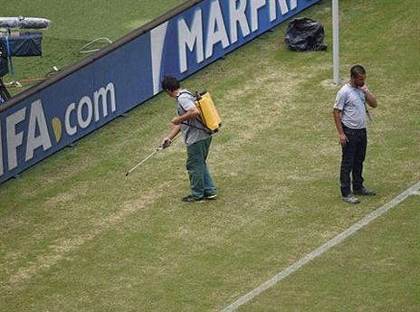 הגנן הגיע עם צבע (GETTYIMAGES)